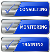 Virtual CIO consulting service